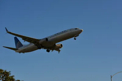 DSC_5668 (Large).JPG